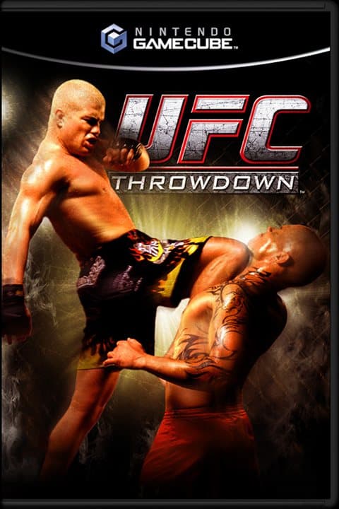 UFC 4